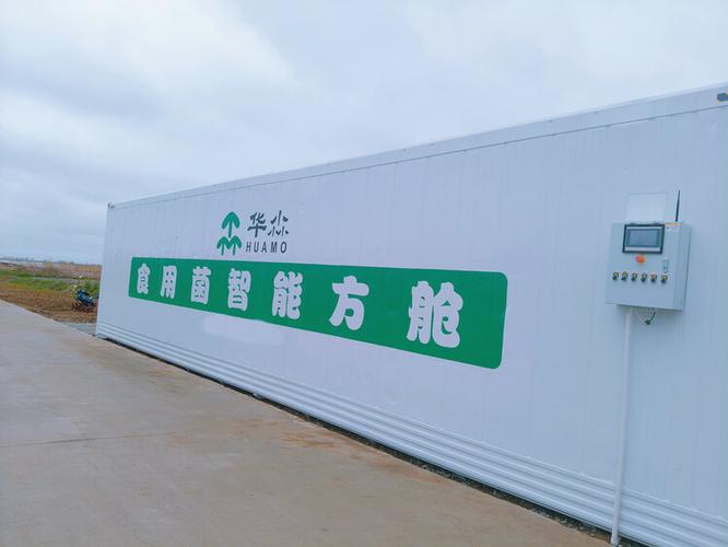 江苏泗阳 智能化栽培金耳，为乡村振兴注入新动力